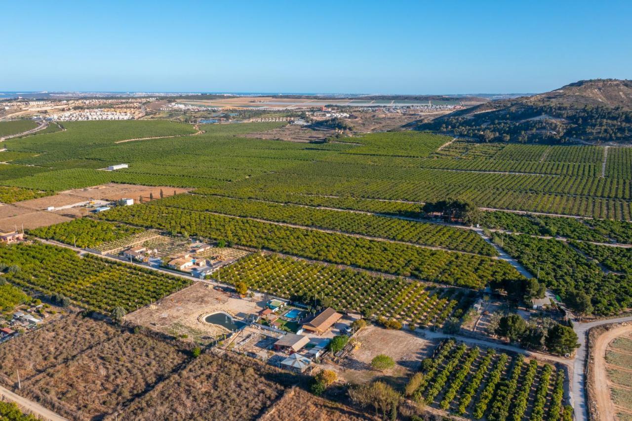 Finca Los Caleros by Fidalsa Algorfa Exterior foto